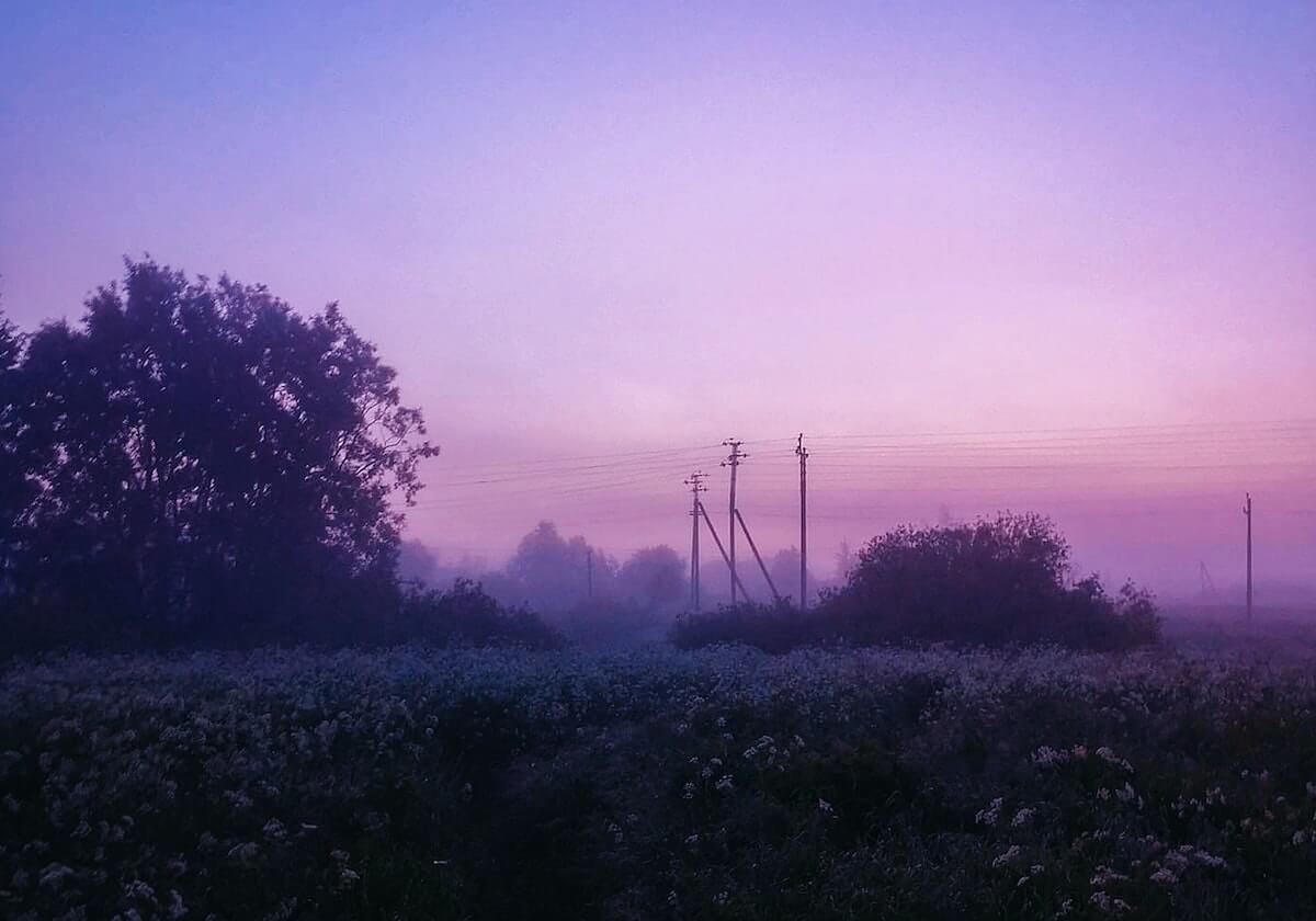 社区盾镜头一给到翻译，全场就知道不妙了，开云推送：数据党都沉默了