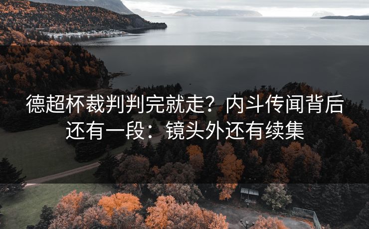 德超杯裁判判完就走？内斗传闻背后还有一段：镜头外还有续集