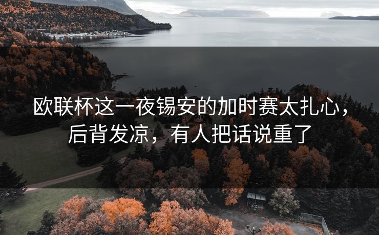 欧联杯这一夜锡安的加时赛太扎心，后背发凉，有人把话说重了