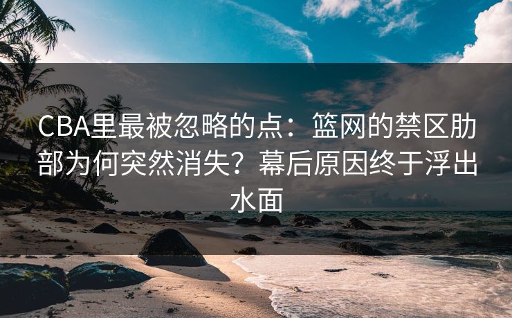 CBA里最被忽略的点:篮网的禁区肋部为何突然消失?幕后原因终于浮出水面