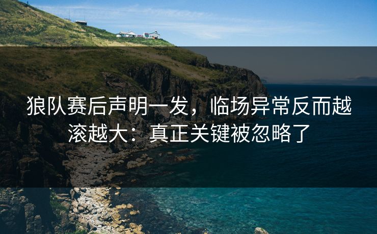 狼队赛后声明一发，临场异常反而越滚越大：真正关键被忽略了