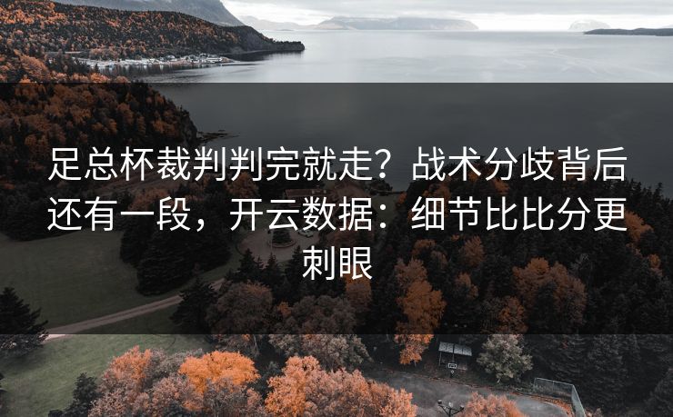 足总杯裁判判完就走？战术分歧背后还有一段，开云数据：细节比比分更刺眼