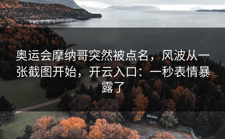奥运会摩纳哥突然被点名，风波从一张截图开始，开云入口：一秒表情暴露了